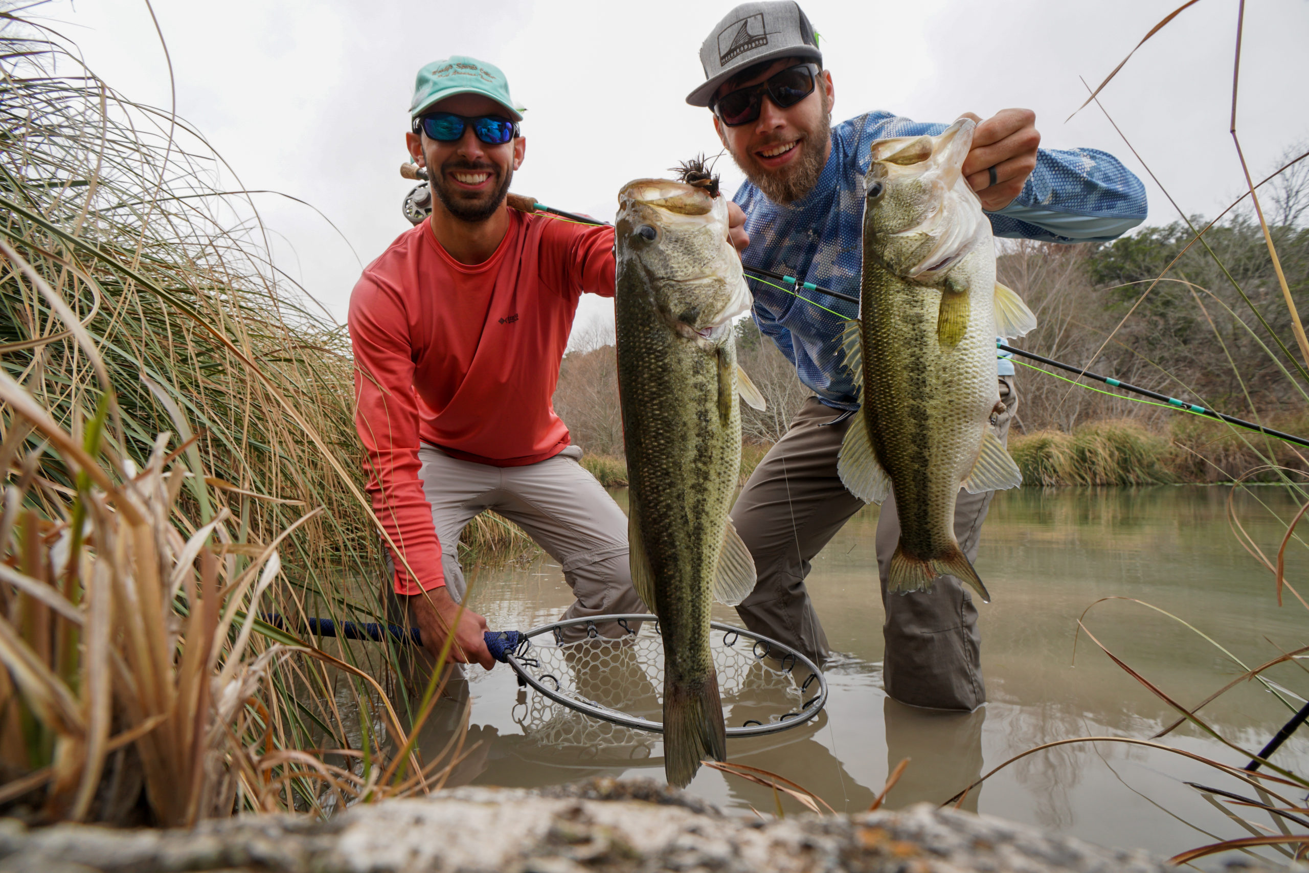 Largemouth bass caught on a hand-tied fly, Texas grass lines