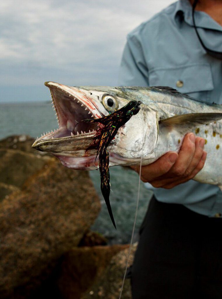 Spanish Mackarel On Gamechanger 768x1034 — GameChangers hand-tied fly